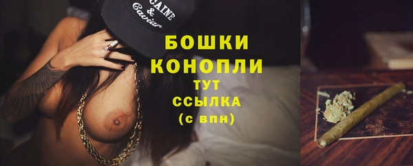 Альфа ПВП Горно-Алтайск